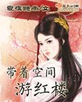 带着空间游红楼 作者:夏夜听雨
