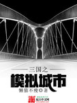 三国之模拟城市 作者:懒猫不瘦
