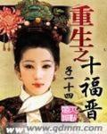 重生之十福晋 作者:子一十四