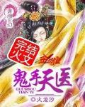 鬼手天医 作者:火龙汐