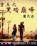 重生之黑暗巅峰 作者:震风语