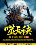 噬天诀 作者:双子流星泪