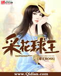 采花球王 作者:球王BOSS