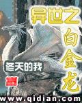 异世之白金龙 作者:冬天的我
