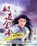 极道金丹 作者:林深森