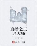 直播之工匠大师 作者:九个栗子