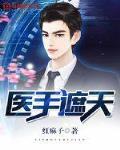 医手遮天 作者:红麻子