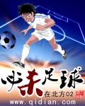 必杀足球 作者:在北方02