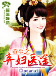 重生之弃妇医途 作者:peanut