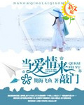 当爱情来敲门 作者:期海飞鱼