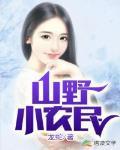 山野小农民 作者:龙蛇
