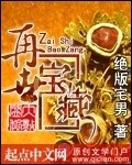 再世藏宝 作者:绝版宅男