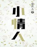 小情人 作者:爱看天