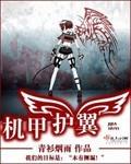 机甲护翼 作者:青衫烟雨