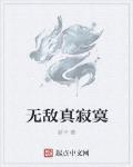 无敌真寂寞 作者:新丰