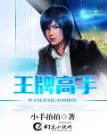 王牌高手 作者:小手拍拍