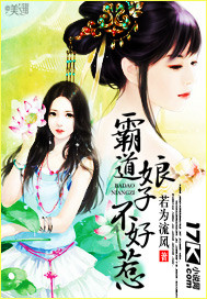 霸道娘子不好惹 作者:若为流风