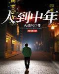 人到中年 作者:火烧风