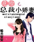 危险总裁小娇妻 作者:晴天安安