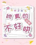 她真的不好哄 作者:芒厘