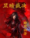 黑暗裁决 作者:胖熊猫
