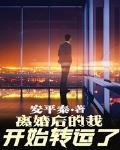 离婚后的我开始转运了 作者:安平泰