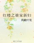红楼之谁家新妇 作者:闲敲灯花
