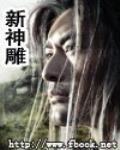 新神雕 作者:心痕泪梦