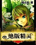绝版精灵 作者:风小北