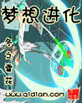 梦想进化 作者:冬之雪花