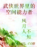 武侠世界里的空间能力者 作者:风月人不知