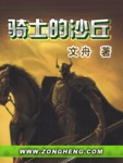骑士的沙丘 作者:文舟.