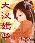 大汉嫣华 作者:柳寄江