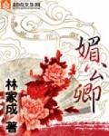 媚公卿 作者:林家成