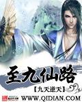 至九仙路 作者:九天逆天