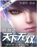 网游之天下无双 作者:失落叶