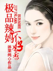 极品辣妈不好惹 作者:沐棠纯