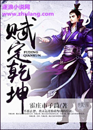 赋定乾坤 作者:霍庄市子爵