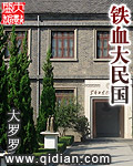 铁血大民国 作者:大罗罗