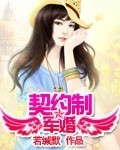 契约制军婚 作者:若缄默