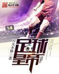 足球皇帝 作者:天天不休