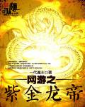 网游之紫金龙帝 作者:一代魔主