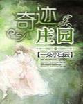 奇迹庄园 作者:一朵小白云