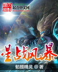 星战风暴 作者:骷髅精灵