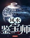 风水鉴宝师 作者:超级学靶