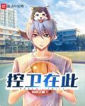 控卫在此 作者:快剑江湖
