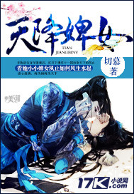 天降婢女 作者:切慕