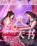 紫府天书 作者:蓝文轩