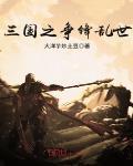 三国之争锋乱世 作者:大洋芋炒土豆