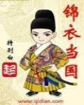 锦衣当国 作者:特别白